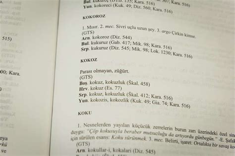 Klasa 602-0403-111. . Turcizmi u bosanskom jeziku